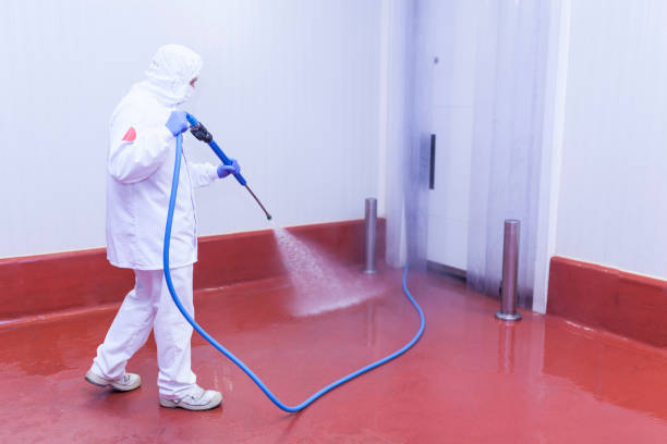 Best Building Exterior Washing  in Columbiana, OH
